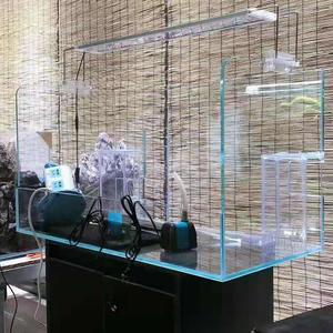 Jin Jing Vijf-Lijn Ultra-Witte Land-En Wateraquarium, Aquarium In Plantenstijl, Ultrawitte Glazen Amfibieënregenwoudtank - Product Image 6