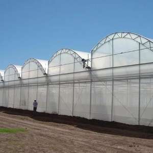 Cerceau agricole 20-100m <span class=keywords><strong>Tunnel</strong></span> commercial économique Film plastique pour serre de <span class=keywords><strong>tomates</strong></span> - Product Image 3