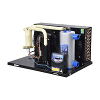 Système de refroidissement pour élevage de poissons, refroidisseur d'eau pour aquarium, réservoir, vente en gros d'usine Ruitong, 220V, 1,5 CV, garantie 1 an, fonctionnement facile