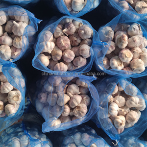 Çin tedarikçiden iyi sağlık için yeni ürün Premium kalite yüksek dereceli saf taze sarımsak - Product Image 6