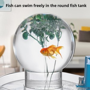 Pecera Esférica Minimalista <span class=keywords><strong>de</strong></span> Escritorio, <span class=keywords><strong>Acuario</strong></span> <span class=keywords><strong>de</strong></span> Vidrio Transparente con Sistema <span class=keywords><strong>de</strong></span> Circulación <span class=keywords><strong>de</strong></span> Agua Autónomo - Product Image 4