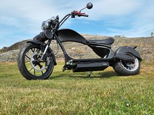 Motocicleta Eléctrica Citycoco de <span class=keywords><strong>Tres</strong></span> <span class=keywords><strong>Ruedas</strong></span> de 3000W 4000W con Sidecar sin Batería - Product Image 5