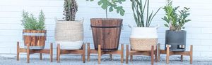 <span class=keywords><strong>Soporte</strong></span> para macetas de madera de nogal ecológico personalizado para exteriores con varios soportes de bambú para plantas de interior. - Product Image 6