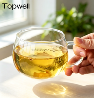 Tasse en verre borosilicate haut de gamme TOPWELL 400 ml avec poignée en verre, style moderne, résistante à la chaleur, passe au micro-ondes, passe au lave-vaisselle