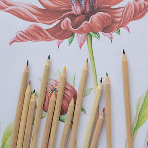 Pensil warna kayu 3.5 inci, untuk melukis siswa lembaga pelatihan - Product Image 6