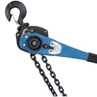 Palans à levier manuels Yongchi HSH-V de type 0,5 tonne, portée de levage de 3 mètres, construction métallique, diamètre de la chaîne de 5 mm, levage et traction portables