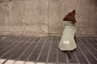 Qiqu – fournitures pour animaux de compagnie, nouveau pull de luxe chaud pour chien teckel, vêtements pour animaux de compagnie, pulls pour chiens teckel avec jambes