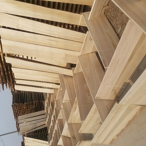 Contrachapado de madera de Paulownia sin acabar, estándar E1 de formaldehído, ecológico, para manualidades y fabricación de muebles, origen Shandong - Product Image 4