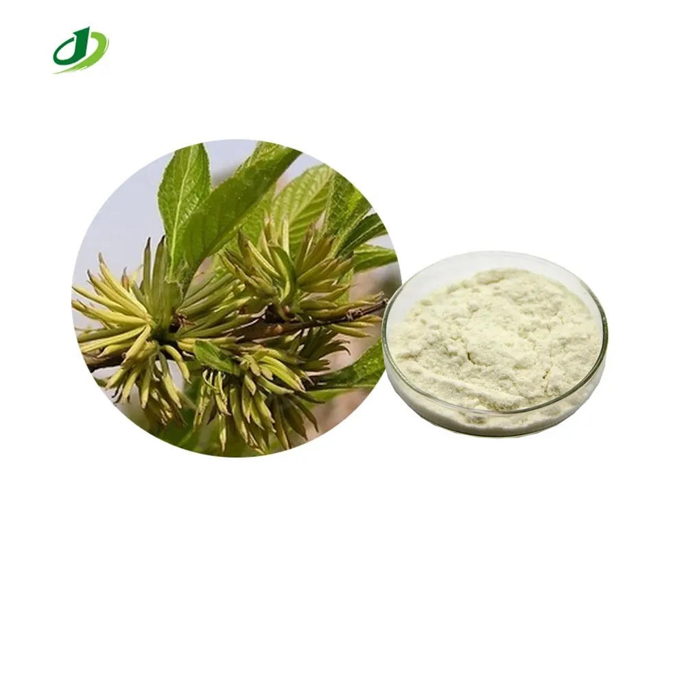 Eucommia ulmoides flower Extract Powder Eucommia ulmoides Oliv. Extract 10:1 20:1