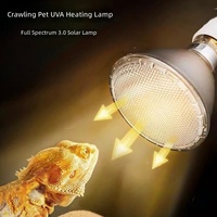 Lampe chauffante UVA pour animaux d'élevage, ampoule halogène à spectre complet UVBUVA en verre, dimmable, pour tortue, lumière du soleil, calcium