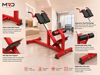 MRD-SH88 Silla Romana de Extensión, Equipo de Gimnasio Comercial para Entrenamiento Físico