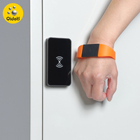 Serrure électronique sans clé en alliage de zinc avec déverrouillage par carte RFID pour armoires, tiroirs, casiers - Utilisation en chambre et en appartement