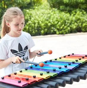 Singapore Trending Kids Musical Speeltuin Outdoor Metalen Percussie Instrument Spelen Set Voor Park