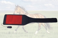 Appareil de photothérapie LED infrarouge à lumière rouge pour la physiothérapie des jambes de chevaux et de chiens, 5W, pour la récupération des tensions musculaires, la cicatrisation des plaies et le soulagement de la douleur