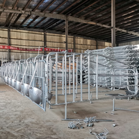 Lit de gestation galvanisé pour truies, boxes de mise bas pour porcs, sols de parcs porcins, équipement d'élevage pour truies à vendre