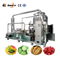 Machine à Frire les Légumes Sous Vide Commerciale, Machine à Frire les Chips de Banane Sous Vide, Machine à Frire les Chips de Citrouille Sous Vide