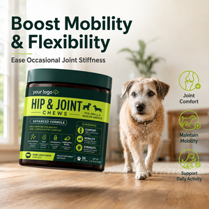 Dernier produit recommandé par les vétérinaires : Glucosamine, Chondroïtine, MSM, Coquille Saint-Jacques verte, sans céréales pour la mobilité, la flexibilité et le confort du cartilage chez les animaux de compagnie - Product Image 4