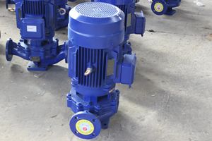 Bomba centrífuga vertical ISG para tuberías, suministrada por el fabricante, para circulación de agua fría y caliente en calderas y bombeo de presión. - Product Image 2