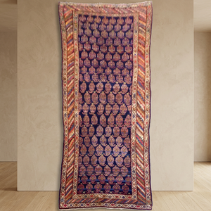 Tapis persan kurd noué à la main en laine et coton naturels 9'2'' x 4'7'' - Product Image 2