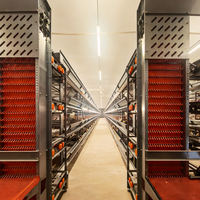 Cage à poulets de type H, grande capacité, 4 niveaux, en acier, entièrement automatique, alimentée par batterie, pour l'élevage avicole à domicile
