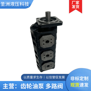 ปั๊มไฮดรอลิกสามเกียร์ Shengzhou Hydraulics รุ่น JHP สำหรับแท่นขุดเจาะแรงดันสูง สำหรับเครื่องจักรก่อสร้าง - Product Image 2