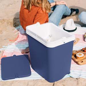 Frigo Portatile per Campeggio e Spiaggia - Rosa 24L - Product Image 1