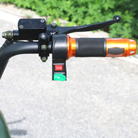 Sıcak satış 1500w 60v citycoco yağ lastik elektrikli kargo scooter/e scooter 2000w