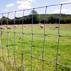 Valla de malla de alambre/ganado, caballo, oveja, cerca de pastizales de pollo/equipo agrícola de cerdo/cerca de campo de ganado galvanizado