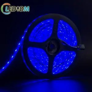 Tira de Luces LED RGB SMD5050 para decoración del hogar, Luces flexibles, 5m, 10m