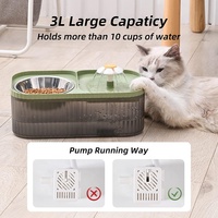 Distributeur automatique d'eau pour animaux de compagnie 3L Fontaine à eau pour chat et bol de nourriture avec bols pour chat en acier inoxydable