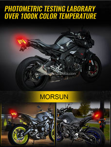 Luz Trasera LED con Certificación Emark para Yamaha MT09 FZ09 MT <span class=keywords><strong>FZ</strong></span> <span class=keywords><strong>09</strong></span> 2020 2019 2018 <span class=keywords><strong>2017</strong></span> Accesorios de Motocicleta Luz de Freno - Product Image 4