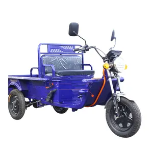 Motocicleta para niños Benne Electrique pequeña refrigerada eléctrica apariencia de niños triciclos plegables 5 ruedas triciclo de carga grande