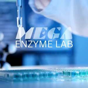 Amylase économique de poudre de DS-P07 MEGA pour le traitement de textile à grande échelle - Product Image 2