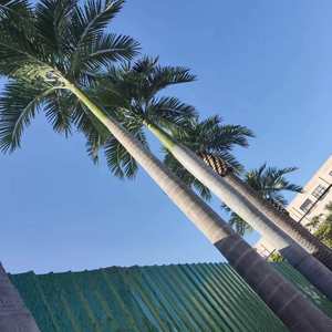 YRYZ25 Faux King Palm Tropical Ornemental Plastique Fibre de Verre Planttall <span class=keywords><strong>Géant</strong></span> Grand Palmier Artificiel Cocotier - Product Image 4