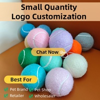 Balles de tennis pour chien avec logo personnalisé, jouets à mâcher interactifs, rebond élevé, caoutchouc naturel, 2,5 pouces, rose, lilas, menthe, couleur pastel, pour chien et animal de compagnie