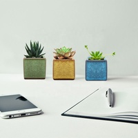 Design carré personnalisé 6 pièces paquet glaçure de fissure de glace coloré bonsaï pots de plantes décor à la maison en céramique succulente jardinière Pot de fleur