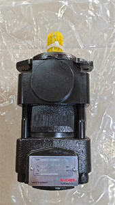 Bomba de Engranajes Internos Bucher Hydraulics QXM22 QXM32 QXM42 QXM52 QXM62 QXEH32 QXEH42 QXEH52 QXEH62 QXV31 QXV32 QXV52 - Product Image 4