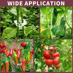 Clip <span class=keywords><strong>de</strong></span> fixation moderne pour légumes, fruits, tomates – Petit clip en plastique durable pour plantes grimpantes, boucle <span class=keywords><strong>de</strong></span> <span class=keywords><strong>tomate</strong></span> pour serre - Product Image 4