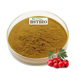 BSTBIOホーソーン葉ベリーエキスフラボノイド50% ホーソーンエキスパウダー - Product Image 1