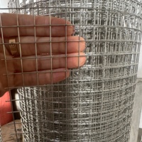 Grillage soudé en acier inoxydable de 1/2 po pour l'élevage d'animaux, clôture avicole, enclos pour lapins
