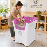 Baignoire à ozone extra large pour chien pour un traitement à l'ozone prolongé des races géantes
