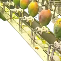 Industriële RVS Commerciële Elektrische Automatische Mango Schilmachine 3T/H 16 Posities PLC Kerncomponenten Hoogwaardig