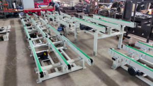 Yüksek kaliteli işlem artan işleme çift hat zincirli konveyör - Product Image 2