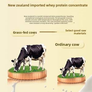 Suplementos en polvo de proteína de suero de leche Gold Coast 400g 100g La proteína mejora la inmunidad mejora el metabolismo proporciona energía para los hombres - Product Image 3