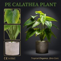 Tanaman Calathea Hijau Buatan 40cm, Daun Berbentuk Hati dari Kertas, Urat Realistis, Pot Tekstur Batu, Kerikil Putih, Custom OEM untuk Rumah
