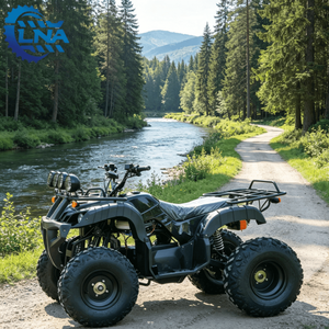<span class=keywords><strong>Quad</strong></span> électrique LNA avec marche arrière 2000W certifié CE pour les excursions dans le désert - Product Image 6
