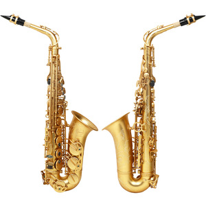 Saxofón Alto Jupiter JAS-767 Afinación <span class=keywords><strong>Eb</strong></span> Novedad Instrumento Musical de Latón Lacado en Oro Saxofón en Mi Bemol con Estuche y Accesorios - Product Image 5