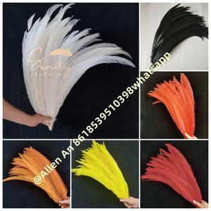 カーニバル用バックパックコスチュームヘアドレス装飾用,50-65cm染めシルバーキジの羽 - Product Image 2