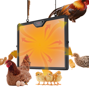 Automatischer Brut pavillon HHD 220v für Hühner <span class=keywords><strong>2.0</strong></span> Verbessertes Thermostat modell - Product Image 1