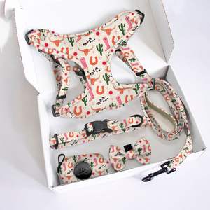 Accesorios Premium para mascotas, arnés encantador para cachorros, collares ajustables para perros, Correa con logotipo de goma a juego, bandana para mascotas, pajarita y bolsa para caca - Product Image 2